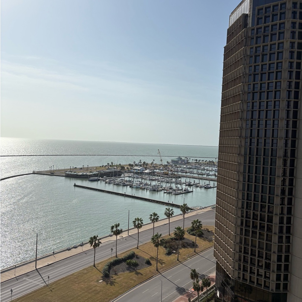 Meet your Posher, Rosalba